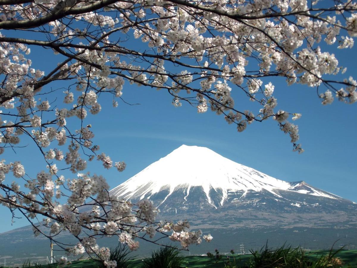Fuji-Shi Business Hotel Furuiya Ryokan Fuji  Eksteriør bilde